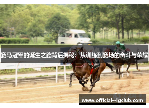赛马冠军的诞生之路背后揭秘：从训练到赛场的奋斗与荣耀