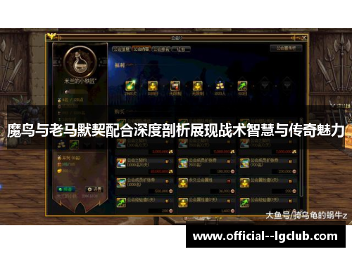 魔鸟与老马默契配合深度剖析展现战术智慧与传奇魅力